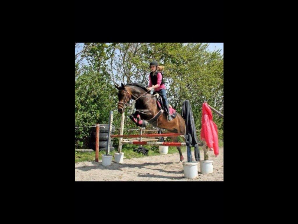 DSP coco chanel billede 15