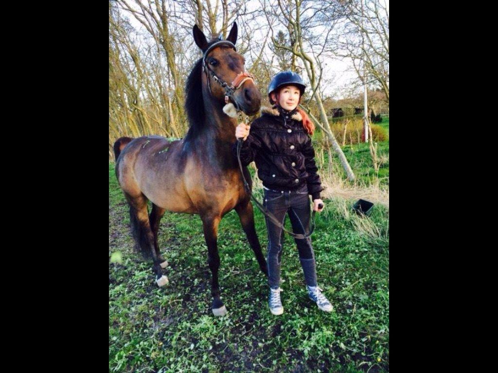 DSP coco chanel billede 18