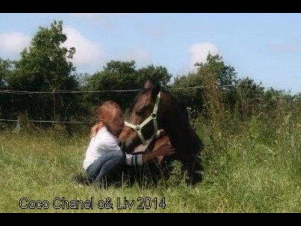 DSP coco chanel billede 19