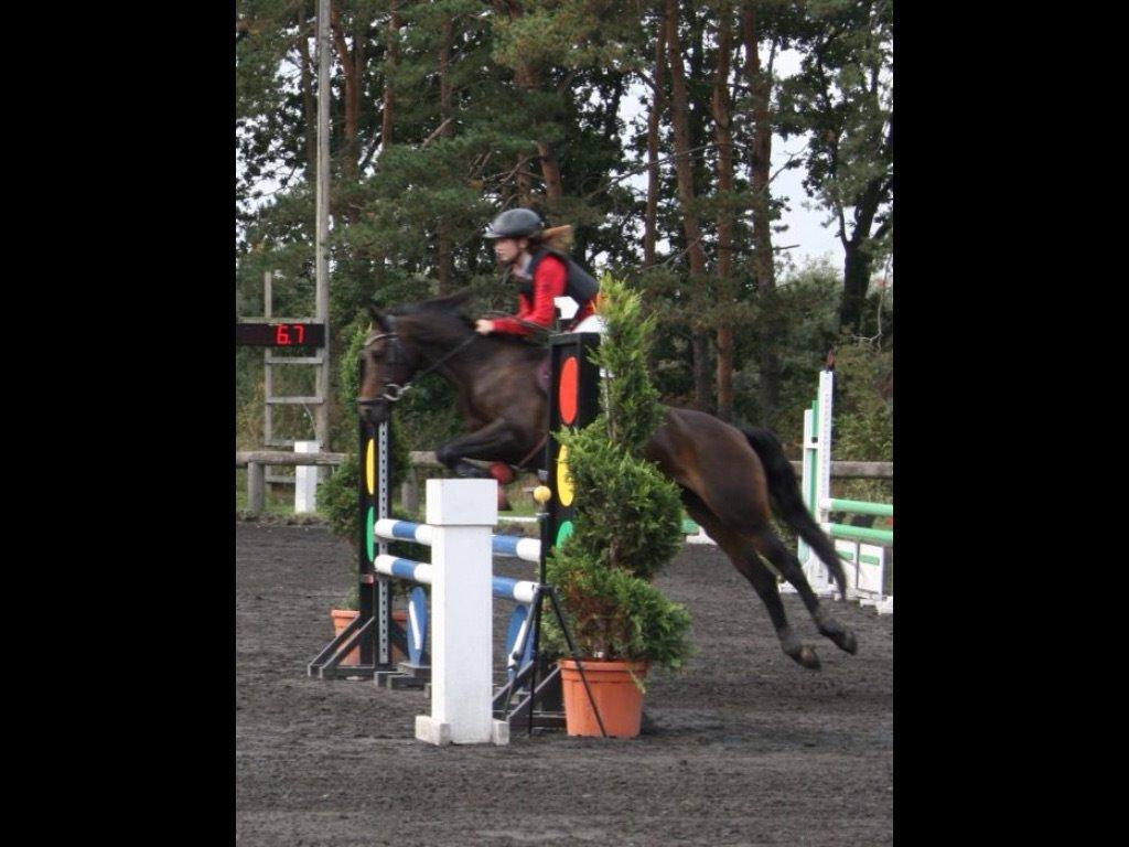 DSP coco chanel billede 20