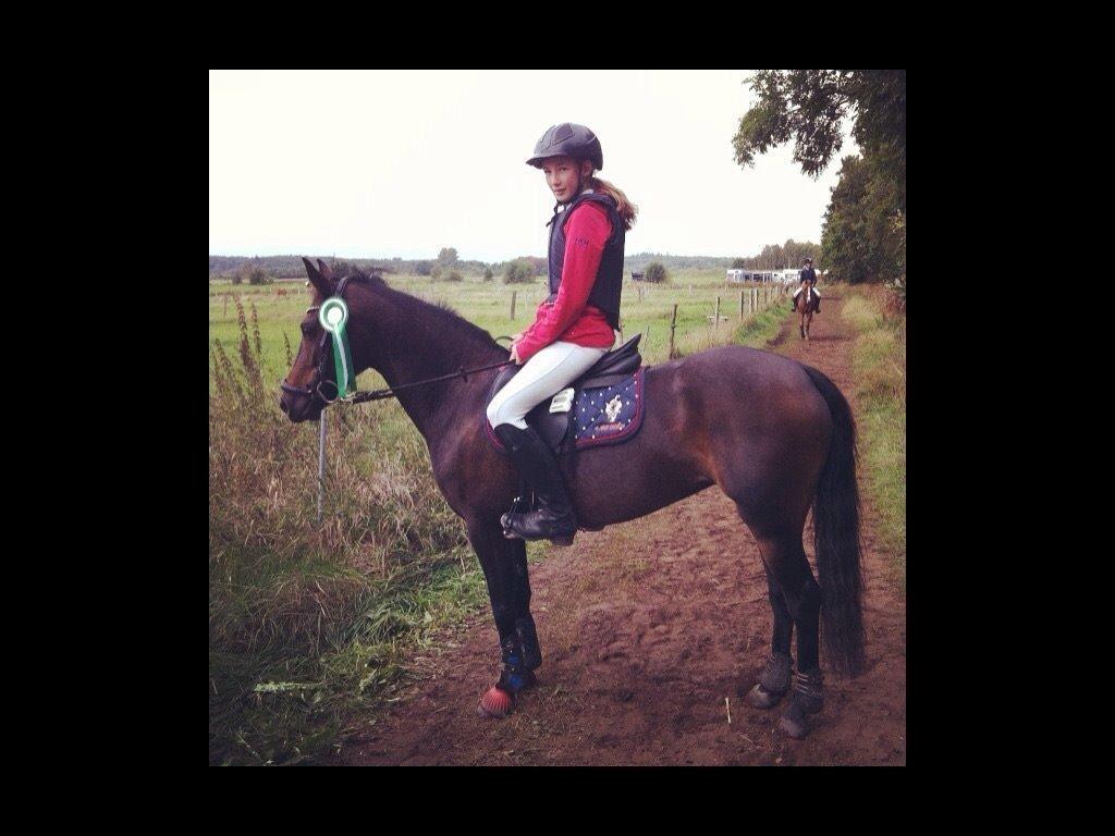 DSP coco chanel billede 9