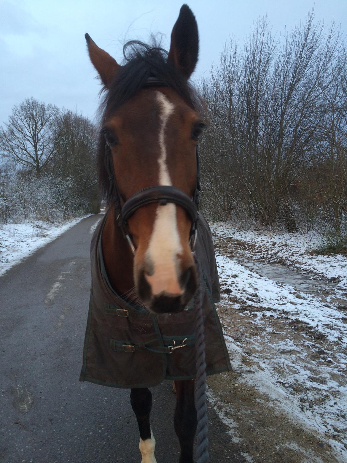 Anden særlig race Veronika - Always with you, never without you <3 billede 11