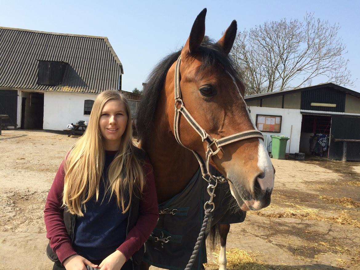 Anden særlig race Veronika - Some horses will test you, some will teach you, and some will bring out the best in you<3 billede 6