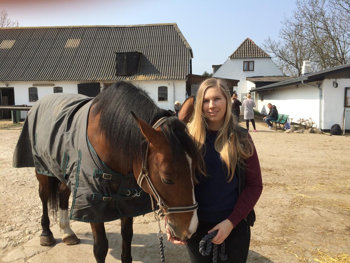 Anden særlig race Veronika - My one and only billede 8