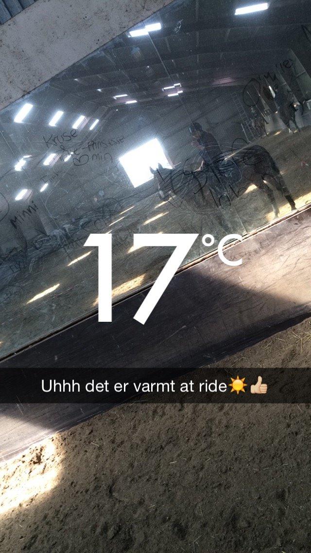 Anden særlig race Veronika - You can't stop the waves, but you can learn to surf billede 17