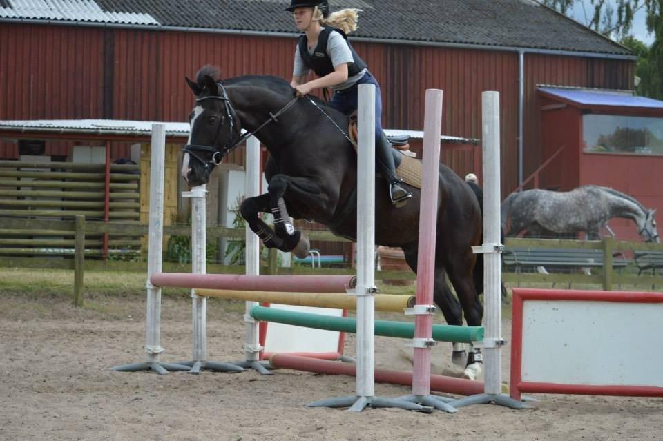 Anden særlig race Force - (2) Vi flyver uden vinger og erobrer uden svær... (Foto: Sandra Frederiksen) billede 2