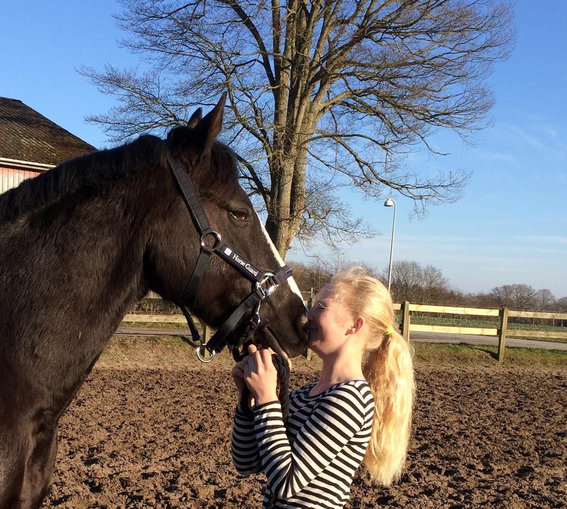 Anden særlig race Force - (1) Velkommen til Force´s profil // kan ikke beskrive dette billede med ord... (Foto: Ester Pinholt) billede 1