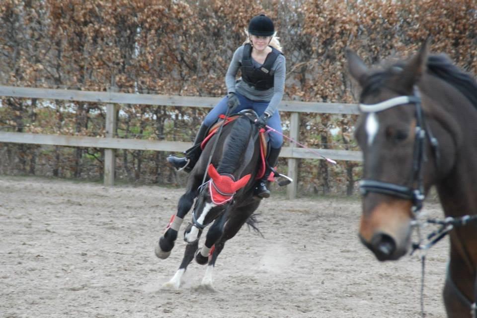 Anden særlig race Force - (9) Når noget er perfekt, er det ikke fordi det er fejlfrit, men fordi du ikke ønsker det anderledes // Min frække rodeohest (Foto: Clara Güntelberg Ottosen) billede 9