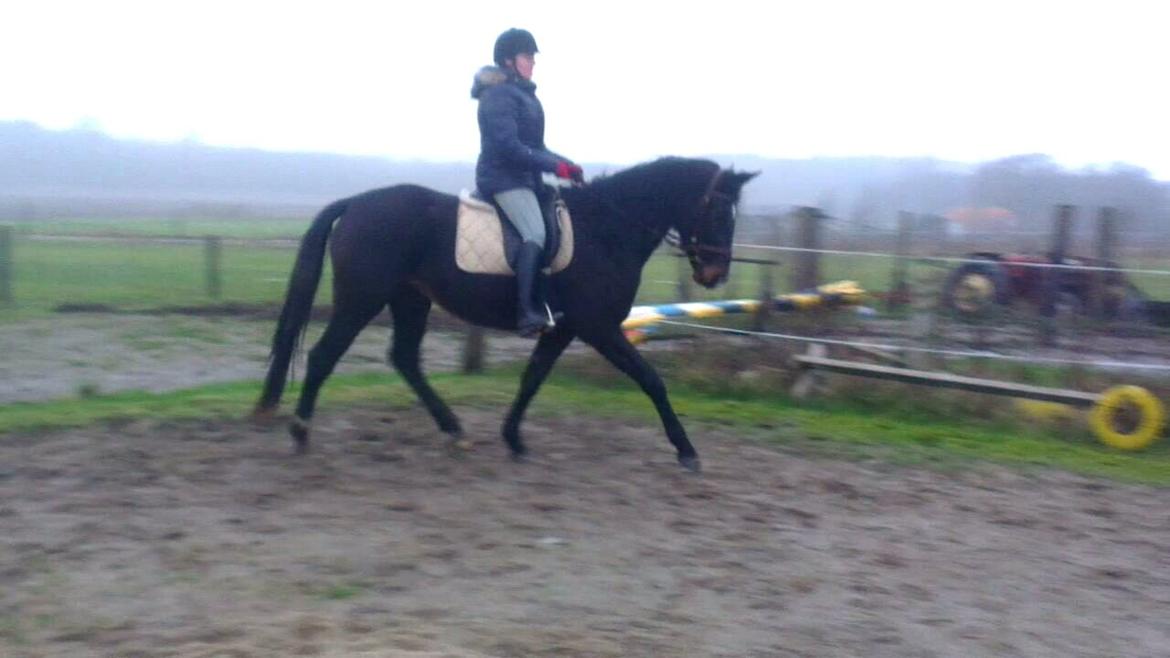 Oldenborg Medina af legaardslund billede 23