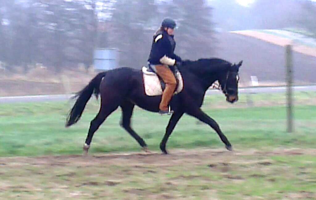 Oldenborg Medina af legaardslund billede 9