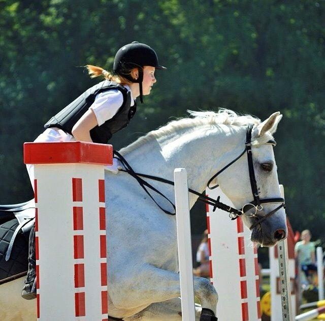 Anden særlig race Monsieur Cheval billede 2