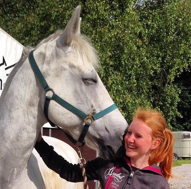 Anden særlig race Monsieur Cheval billede 3