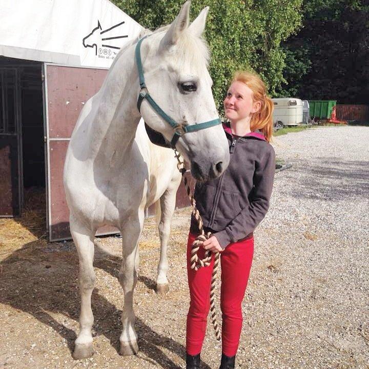 Anden særlig race Monsieur Cheval billede 6