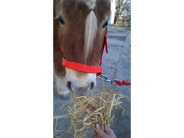 {{currentPhoto.altText}} billede {{currentPhoto.number}}