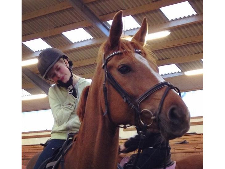 {{currentPhoto.altText}} billede {{currentPhoto.number}}