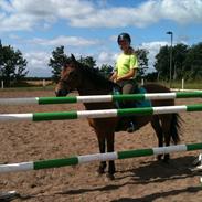 Anden særlig race Misse