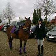 Anden særlig race Misse