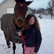 Hollandsk Varmblod olanca sødeste hest jeg nogensinde har haft 