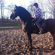 Frieser Sietske van de Sweach