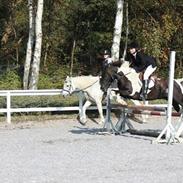 Anden særlig race Lucky Boy