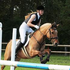 Anden særlig race Rendsborggårds Jonas