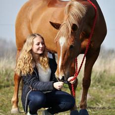 Appaloosa Sequoia van de lorkeershoeve <3