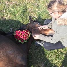 DSP Coco, du vil altid være i mit hjerte <3