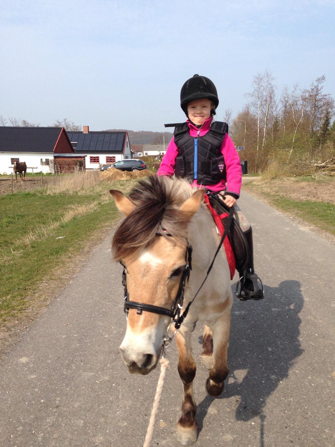 Anden særlig race - Bullit † - Bullit og Amalie som får undervisning på hende hver 2. weekend af mig :) billede 15