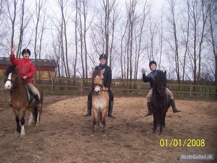 Anden særlig race - Bullit † - Smukke Bullit i midten! Det er godt nok længe siden! Savner det <3 billede 20