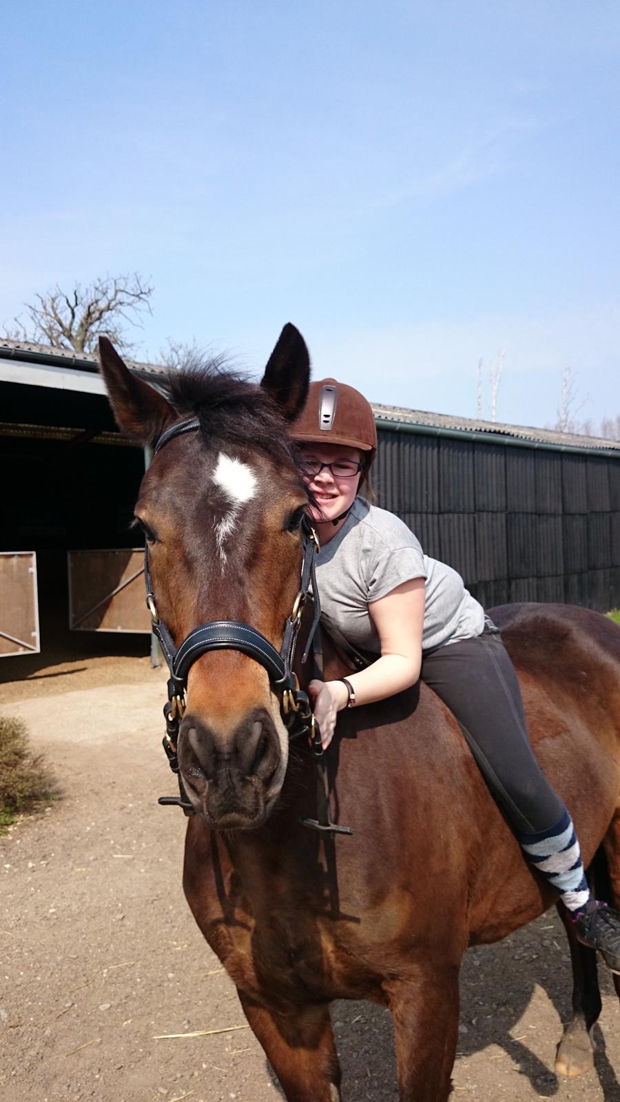 New Forest Birkilds Moreno billede 11