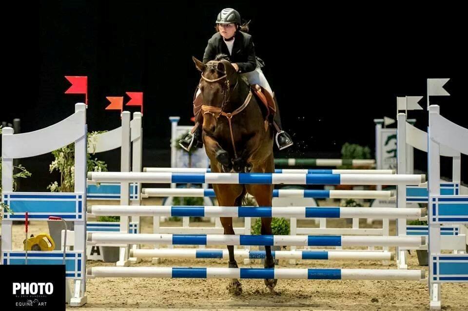 Dansk Varmblod Capacity cherinn - JBK LA** 2014 billede 2