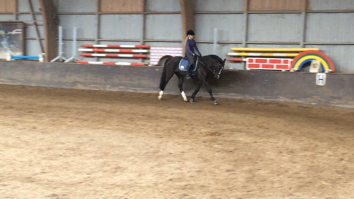 Anden særlig race Force - (15) Du skal ikke finde en du kan leve med - du skal finde en du ikke kan leve uden (Foto: Clara Güntelberg Ottosen) billede 15