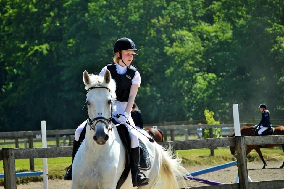 Anden særlig race Monsieur Cheval billede 10