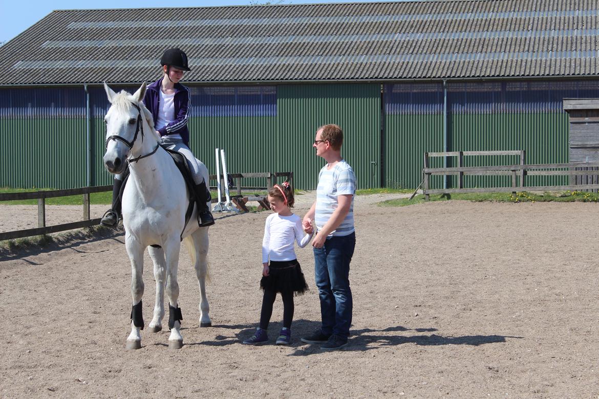 Anden særlig race Monsieur Cheval billede 14