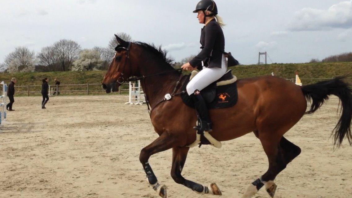 Holstener CHAIO billede 15