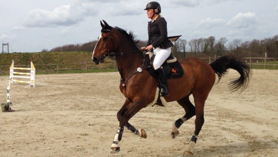 Holstener CHAIO billede 16