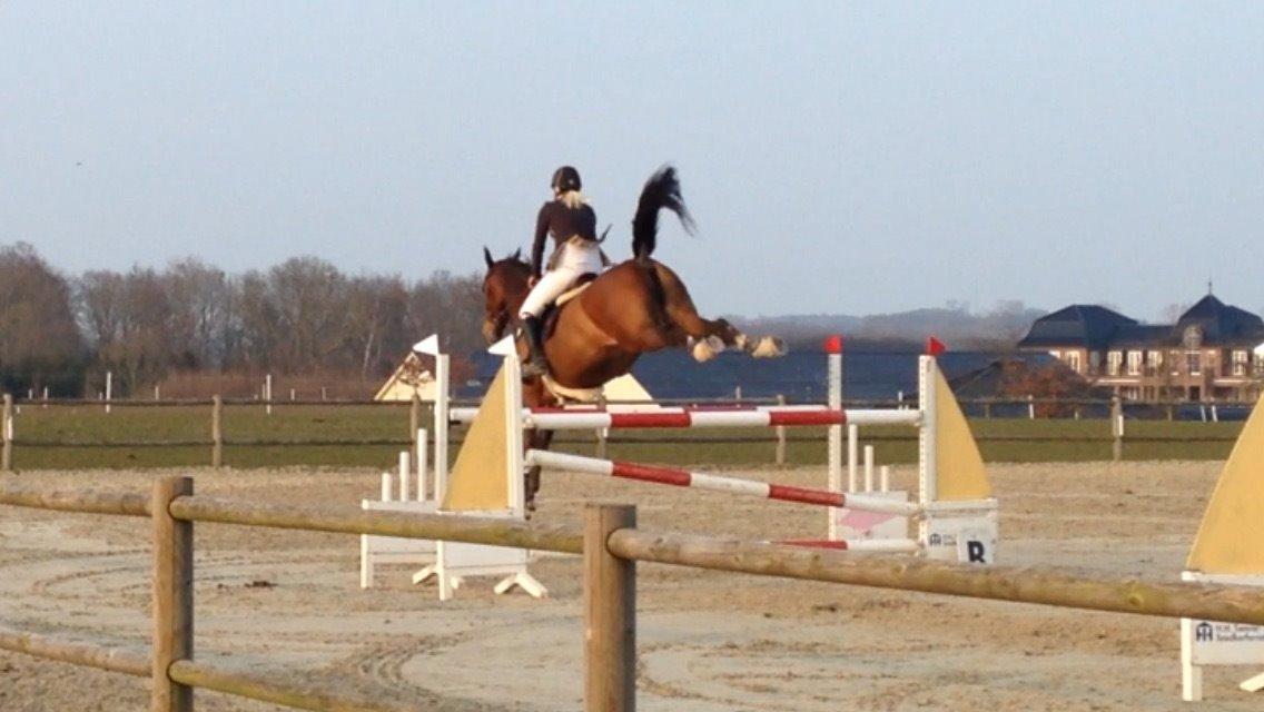 Holstener CHAIO billede 20