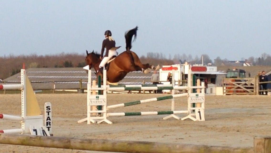 Holstener CHAIO billede 22