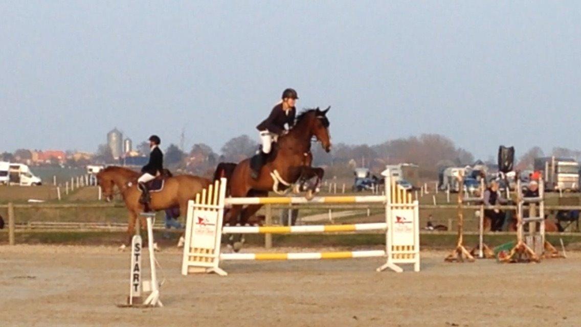 Holstener CHAIO billede 23