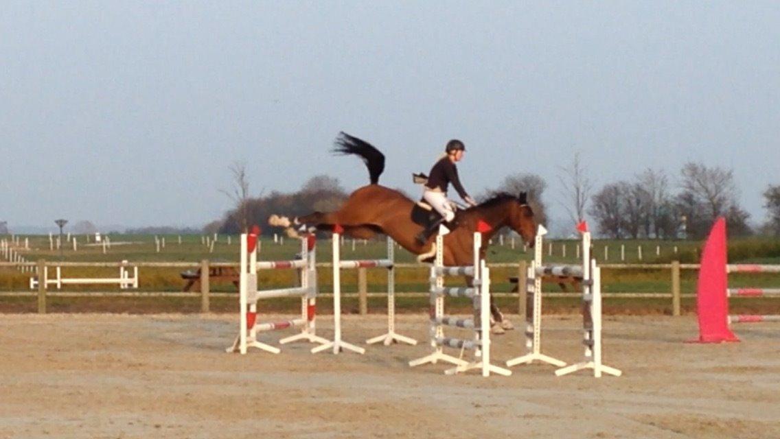 Holstener CHAIO billede 21