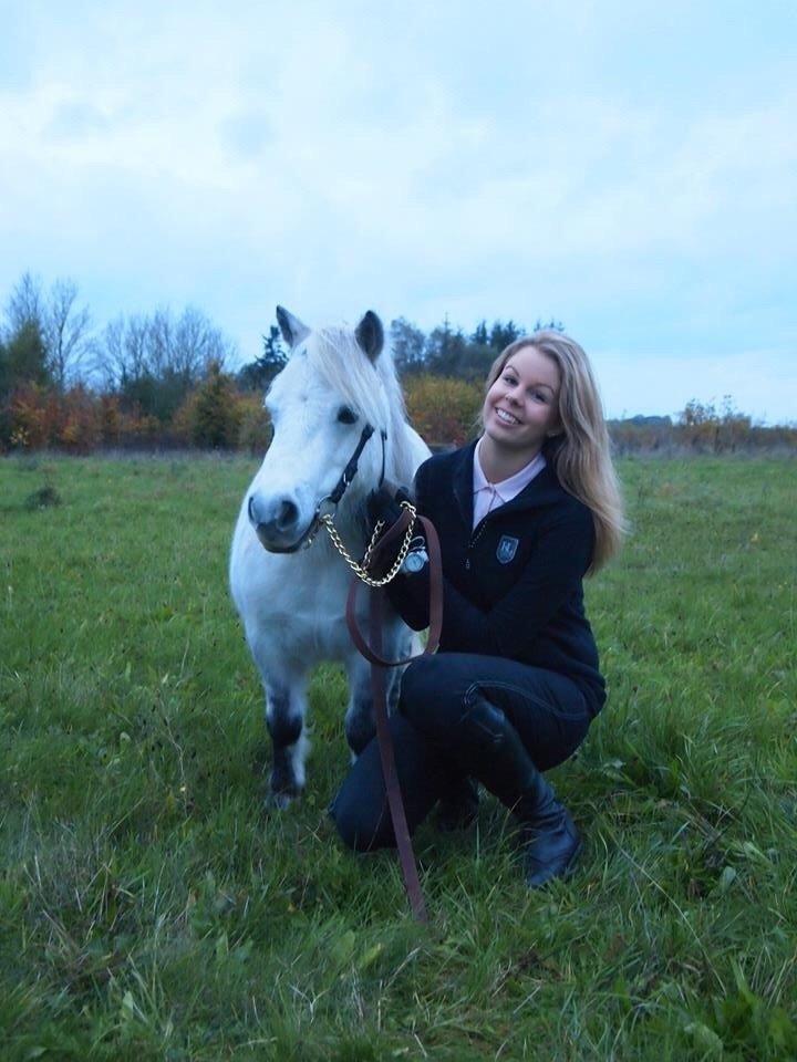 Dansk Miniature Mynte - Jeg elsker min pony <3 billede 7