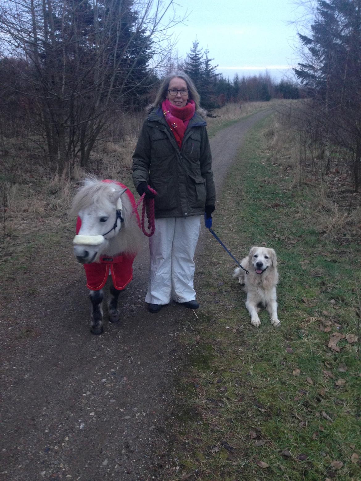 Dansk Miniature Mynte - Med mor og vores "hunde" på tur ;-) billede 9