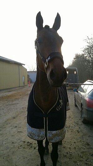 Holstener Coco Chanel Mak billede 16