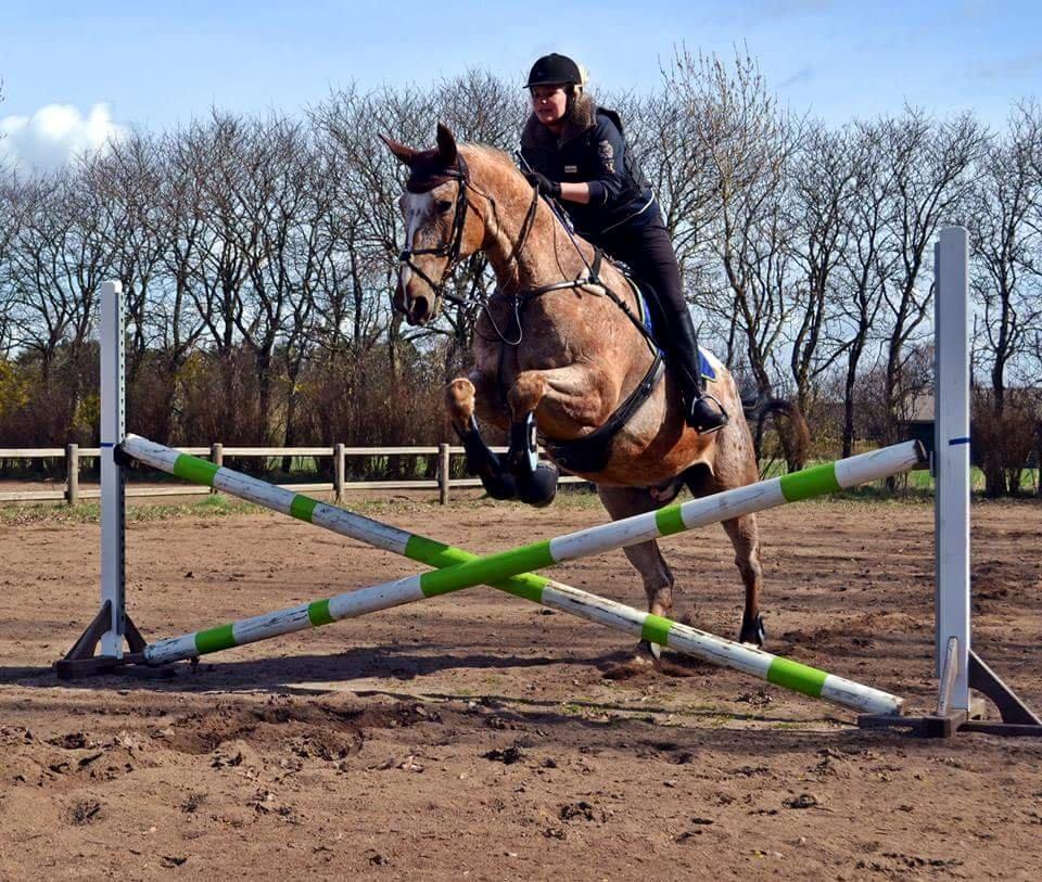 Appaloosa The touch of coco billede 19