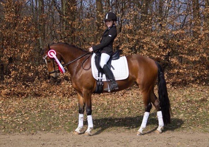 Anden særlig race Constance (kaldenavn Karma) billede 7