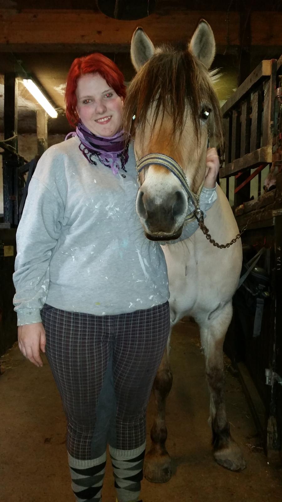 Fjordhest Freja billede 30