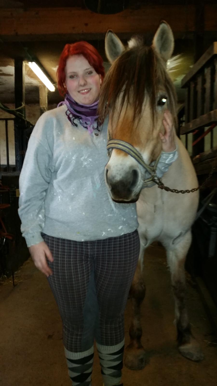 Fjordhest Freja billede 31