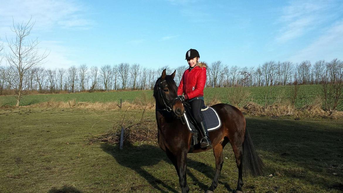 DSP Stidsbjergs Duster - Første ridetur på drengen. billede 5