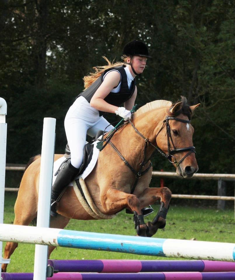 Anden særlig race Rendsborggårds Jonas billede 1