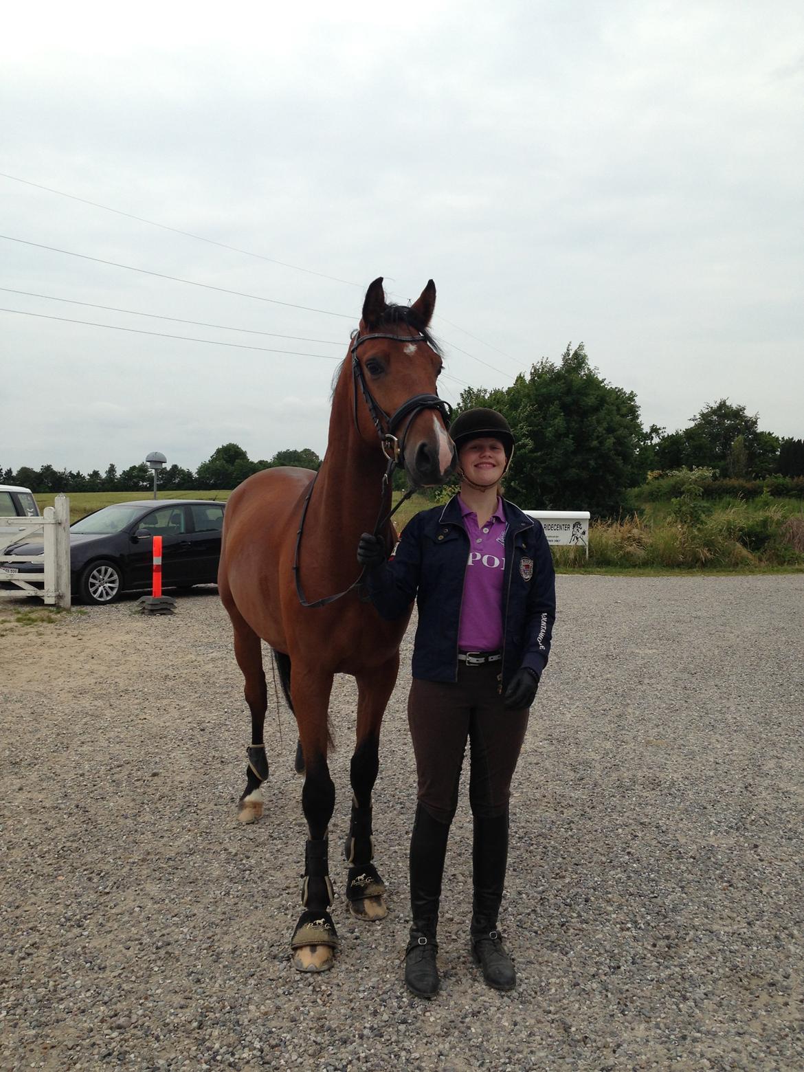 DSP Skovlys Cazador billede 8